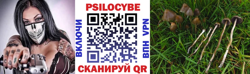 Псилоцибиновые грибы мухоморы  Купить где  Калтан 